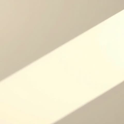 Segment Anything 2